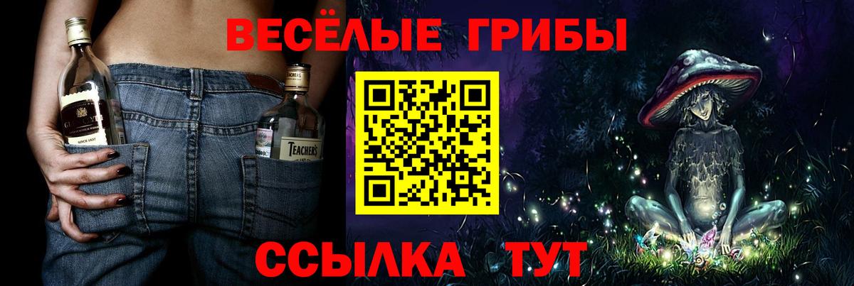 Псилоцибиновые грибы MAGIC MUSHROOMS  Вход с VPN  Саянск 